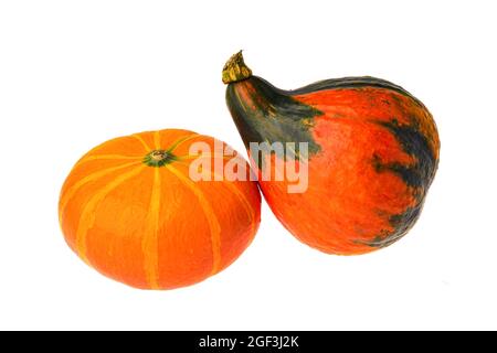 Zwei orange Kürbis isoliert auf weißem Hintergrund. Stockfoto