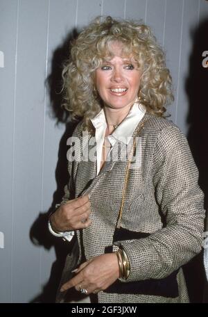 Connie Stevens um die 1980er Jahre Credit: Ralph Dominguez/MediaPunch Stockfoto