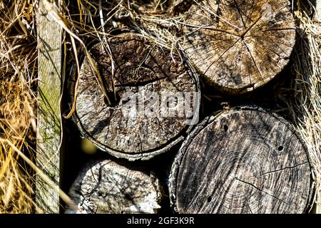 Großes Insektenhotel, das aus verschiedenen Materialien gebaut wurde, um Wirbellosen Lebensraum und Überwinterungsschutz zu bieten. Stockfoto