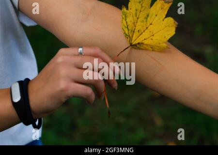 Unschärfe weibliche Hand mit gelben trockenen Blatt halten und legen Sie es auf zerkratzte Hand. Hallo Herbst. Frauen stehen im Herbstpark. Oktoberstimmung. Weichzeichnen. Nahaufnahme Stockfoto