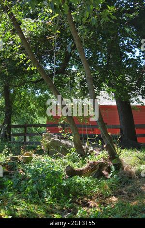 Authentische alte alte alte rote Scheunenwand aus Holzplanken. Stockfoto