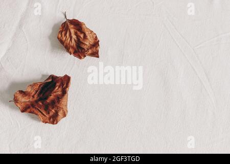 Stillleben im Herbst. Trockene Buchenblätter auf Leinenstoff Tischtuch textiler Hintergrund. Herbst- und Erntedankfest-Konzept. Saisonale Zusammensetzung. Flach gestylt Stockfoto