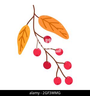 Zweig mit Preiselbeeren und goldenen Blättern isoliert auf weißem Hintergrund. Vektor handgezeichnete Illustration in Cartoon-Flat-Stil. Perfekt für Ihr Projekt, Karten, Logo, Dekorationen. Stock Vektor