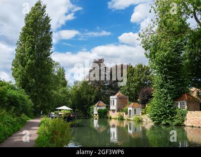 River Lea in Ware, Hertfordshire, England, Großbritannien Stockfoto