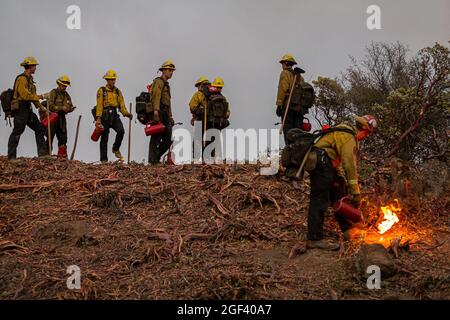 Am 22. August 2021 bewegt sich das kalifornische Caldor-Feuer nach Osten in Richtung Lake Tahoe, während die Besatzungen weiterhin gegen ein Feuer kämpfen, das auf mehr als 170 Quadratmeilen mit nur 5 % Eindämmung angewachsen ist. (Foto von Michael Nigro/Sipa USA) Quelle: SIPA USA/Alamy Live News Stockfoto