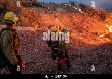 Am 22. August 2021 bewegt sich das kalifornische Caldor-Feuer nach Osten in Richtung Lake Tahoe, während die Besatzungen weiterhin gegen ein Feuer kämpfen, das auf mehr als 170 Quadratmeilen mit nur 5 % Eindämmung angewachsen ist. (Foto von Michael Nigro/Sipa USA) Quelle: SIPA USA/Alamy Live News Stockfoto