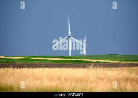 Landschaft mit Windkraftanlagen in Dobrogea, Rumänien Stockfoto