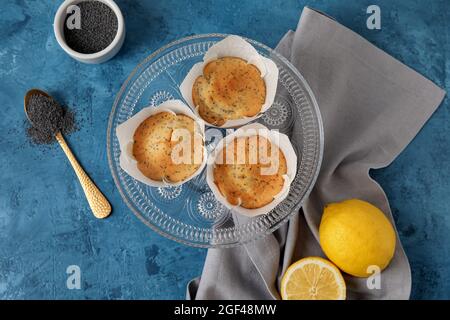 Teller mit leckeren Mohn-Muffins auf farbigem Hintergrund Stockfoto