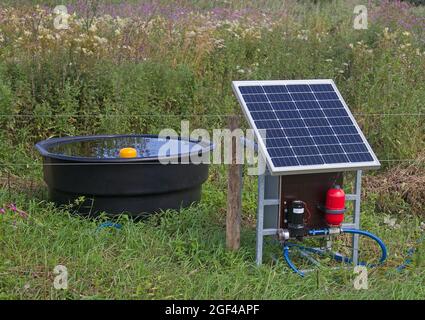 Moderne Landwirtschaft: Solarpanel zur Energieversorgung von Trinkwasser und elektrischem Zaun für Rinder Stockfoto