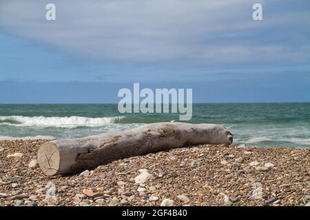 Baumstamm, gebleicht von Sonne und Salzwasser, gewaschen auf einem Kieselstrand mit Seesand unter blauem Himmel mit Wolken Stockfoto