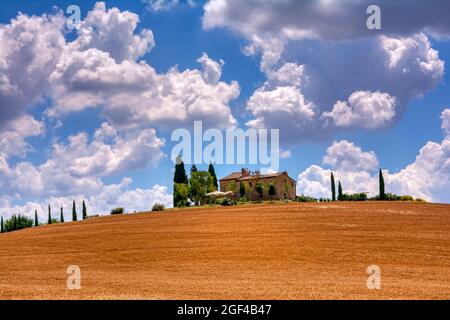 Toskana, Italien - Juli 6, 2018: Zypressen und Wiese mit typisch toskanisches Haus, Val d'Orcia, Italien - Toskana Stockfoto