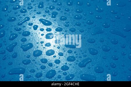 Nahaufnahme kobaltblauer Wassertropfen auf dem Gartentisch nach dem Regen Stockfoto