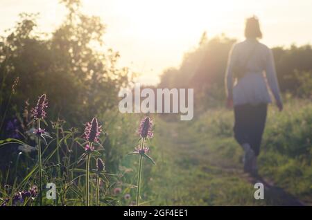 Ein Mädchen, das auf einer Landstraße zwischen Wiesenblumen läuft. Fokus auf den Vordergrund. Das Konzept des Wanderns in der Natur. Stockfoto