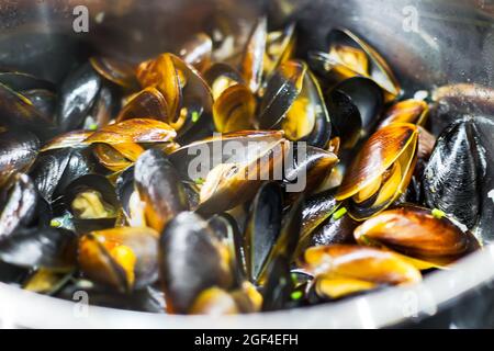 Gekochte Muscheln mit Zitrone und Petersilie in einem Topf auf einem Keramikkochfeld Stockfoto