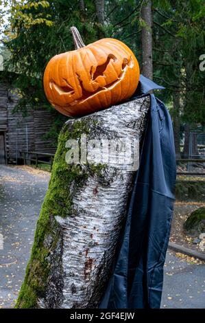 Orangefarbener Kürbis auf Holz mit schwarzem Umhang. Holloween Dekoration und Herbsternte. Stockfoto