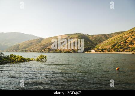 Douro River und Wine Hills in Peso da Régua Stockfoto