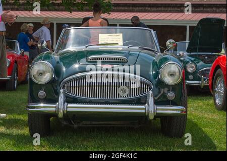 Mystic, CT USA / 23. Juli 2011: Classic green1963 Austin Healey 3000 Mk II Sportwagen auf der British Car Show im Sommer in Neuengland zu sehen. Stockfoto