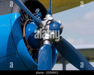 REGION MOSKAU, FLUGPLATZ CHERNOE 22. Mai 2021: Flugzeug an-2 das Luftfahrtfestival Sky, Theorie und Praxis. Stockfoto