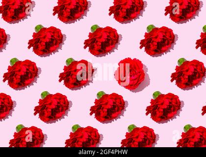 Muster von Köpfen aus roten Nelkenblüten mit einer einzelnen in unterschiedlicher Position liegend Stockfoto