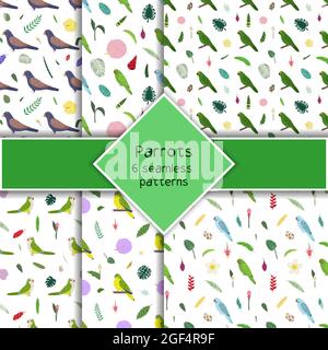 Papagei nahtlose Mustersammlung im Cartoon-Stil. Papageien bronzene Flügel, amazonas, Mönchssittich, tropische Blätter und Blumen Set aus sechs Hintergründen. Niedlicher Babyprint für Stoff und Textil. Stock Vektor