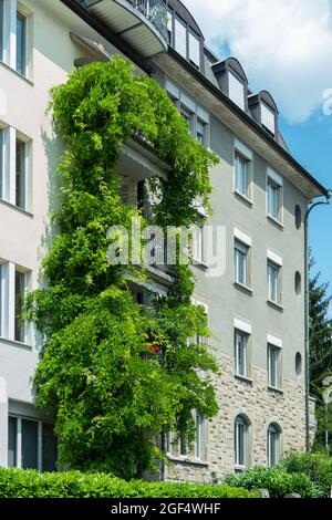 Zürich, Schweiz - 13. Juli 2019: Grüne Fassade an einem alten Gebäude Stockfoto