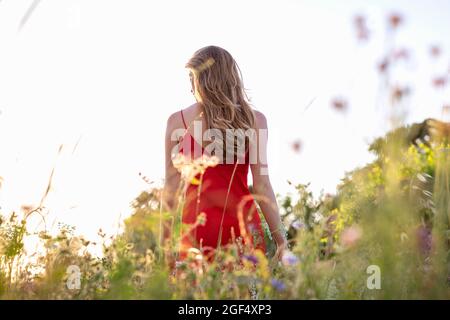 Junge Frau, die inmitten von Pflanzen auf dem Feld steht Stockfoto