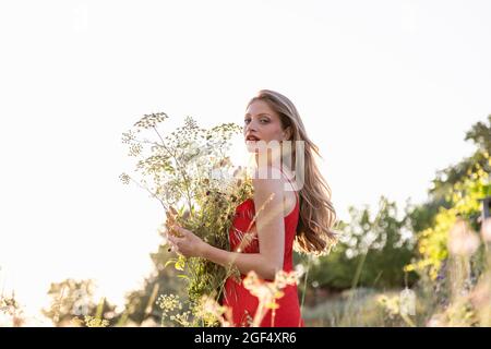Schöne Frau mit wilden Blumen auf dem Feld Stockfoto