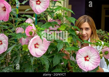 Glückliche attraktive Frau in den späten 40er Jahren, die ihren schönen Blumengarten genießt und zufrieden ihre blühenden Hortensien- und Hibiskusblüten in sich sieht Stockfoto