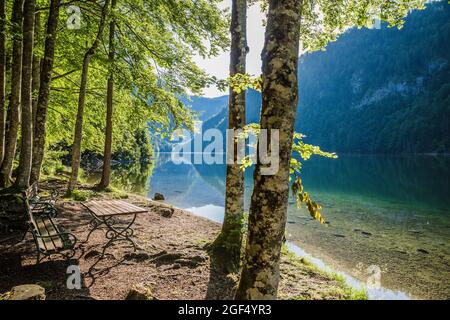 Leere Bänke am Ufer des Toplitzersees im Sommer Stockfoto