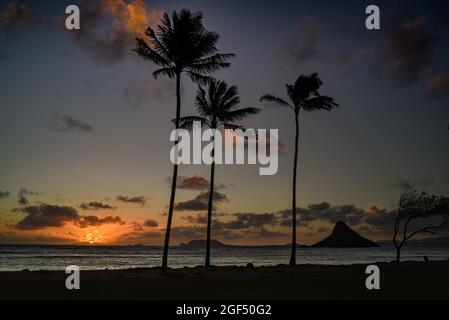 Spektakulärer Sonnenaufgang in der Nähe von Kualoa Ranch, Kualoa Regional Park mit silhouettierten Palmen und Mokoli'i Island (früher bekannt als der veraltete Begriff „Chinaman's hat“), Oahu, Hawaii, USA Stockfoto