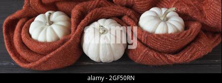 Herbsthintergrund mit Wollgestrick und weißen Kürbissen Stockfoto