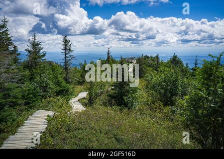 Promenade, die zur Aussichtsplattform auf dem Pic de la Hutte führt, einem Gipfel im Monts Valn National Park, Quebec (Kanada) Stockfoto