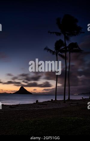 Spektakulärer Sonnenaufgang in der Nähe von Kualoa Ranch, Kualoa Regional Park mit silhouettierten Palmen und Mokoli'i Island (früher bekannt als der veraltete Begriff „Chinaman's hat“), Oahu, Hawaii, USA Stockfoto