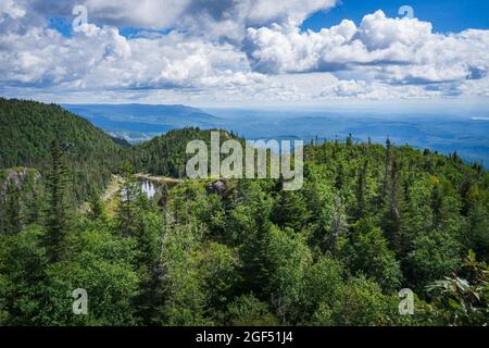 Blick auf Saguenay an einem Sommertag vom Gipfel des Pic de la Hutte, einem Gipfel im Monts Valin Nationalpark (Quebec, Kanada) Stockfoto