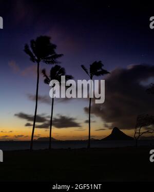 Spektakulärer Sonnenaufgang in der Nähe von Kualoa Ranch, Kualoa Regional Park mit silhouettierten Palmen und Mokoli'i Island (früher bekannt als der veraltete Begriff „Chinaman's hat“), Oahu, Hawaii, USA Stockfoto