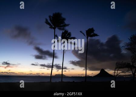 Spektakulärer Sonnenaufgang in der Nähe von Kualoa Ranch, Kualoa Regional Park mit silhouettierten Palmen und Mokoli'i Island (früher bekannt als der veraltete Begriff „Chinaman's hat“) Island (Mokoli'i), Oahu, Hawaii, USA Stockfoto