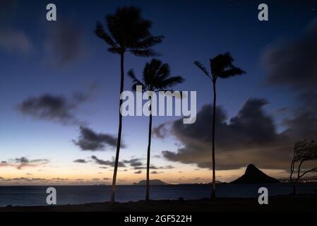 Spektakulärer Sonnenaufgang in der Nähe von Kualoa Ranch, Kualoa Regional Park mit silhouettierten Palmen und Mokoli'i Island (früher bekannt als der veraltete Begriff „Chinaman's hat“), Oahu, Hawaii, USA Stockfoto