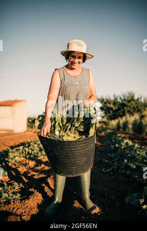 Ältere Bäuerin lächelt, während sie den Korb im Gemüsegarten hält Stockfoto