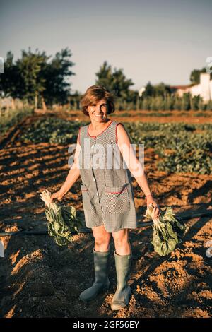 Lächelnde Bauernarbeiterin, die Gemüse auf dem Feld hält Stockfoto