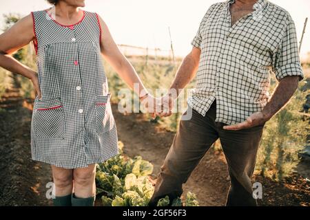 Das ältere Paar hält sich die Hände, während es im Gemüsegarten steht Stockfoto