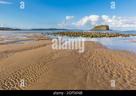 Minnamurra Beach im Sommer mit Stack Island im Hintergrund Stockfoto