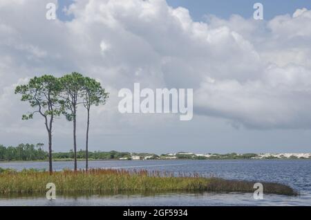 Ein Blick auf den Western Lake, einen seltenen Küstendünensee im Grayton Beach State Park, Florida, USA Stockfoto