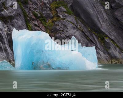 Dawes Glacier Eisberg, Endicott Arm, Alaska, USA Stockfoto