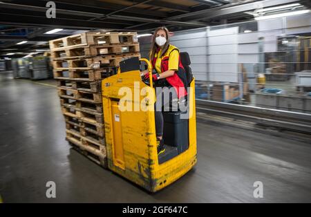 19. August 2021, Baden-Württemberg, Köngen: Adriana Tec, Dispatcher im DHL Paketzentrum in Köngen, fährt während ihrer Nachtschicht mit einem Staber Paletten durch das Paketzentrum. (An dpa: 'Hohes Paketvolumen im DHL-Distributionszentrum - Corona oder nicht') Foto: Christoph Schmidt/dpa Stockfoto