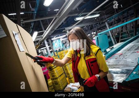 19. August 2021, Baden-Württemberg, Köngen: Adriana Tec, Dispatcher im DHL Paketzentrum in Köngen, schneidet während ihrer Nachtschicht einen großen Container auf, um nachfolgende Pakete auf eine Montagelinie zu legen. (An dpa: 'Hohes Paketvolumen im DHL-Distributionszentrum - Corona oder nicht') Foto: Christoph Schmidt/dpa Stockfoto