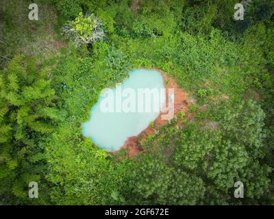 Luftaufnahme Flusswald Natur Waldgebiet grüner Baum, Draufsicht Fluss Lagune Teich mit blauem Wasser von oben, Vogelperspektive grünen Wald schön Stockfoto