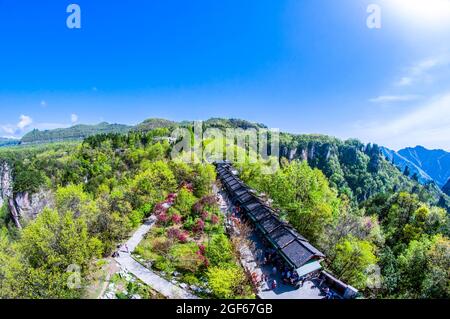 Zhangjiajie National Forest Park in der Provinz Hunan China Stockfoto