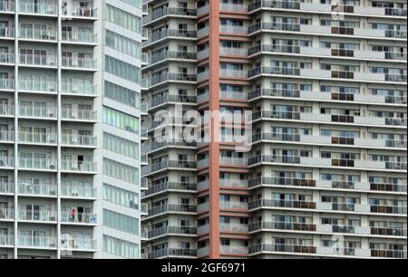 Tokio, Japan. August 2021. Blick auf nahe beieinander stehende Wohnhäuser. Quelle: Karl-Josef Hildenbrand/dpa/Alamy Live News Stockfoto