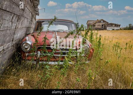 Rush Lake, SK - 19. August 2021: Ein verlassene Borgward Isabella TS klassisches Coupé und ein verlassene Bauernhaus auf den Prärien von Saskatchewan Stockfoto