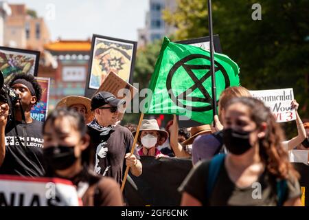 Washington, DC, USA, 23. August 2021. Im Bild: Ein Mitglied der New Hampshire Extinction Rebellion trägt die Flagge der Gruppe unter Hunderten von Demonstranten, die während einer von Shut Down DC und Extinction Rebellion gesponserten Demonstration gegen Enbridge's Line 3-Ölpipeline marschieren. Die Pipeline verläuft durch Vertragsgebiete und das Quellgebiet des Mississippi River, um Ölsand aus Kanada zu transportieren. Die ökologischen und klimatischen Auswirkungen in den nächsten 50 Jahren werden mit dem Bau und Betrieb von 50 Kohlekraftwerken vergleichbar sein. Kredit: Allison Bailey / Alamy Live Nachrichten Stockfoto